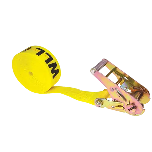 Шексіз бау